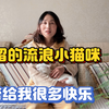新疆伊宁姐，收留的流浪小猫咪，带给我很多快乐，一定好好善待它