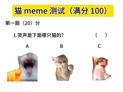 猫meme 测试