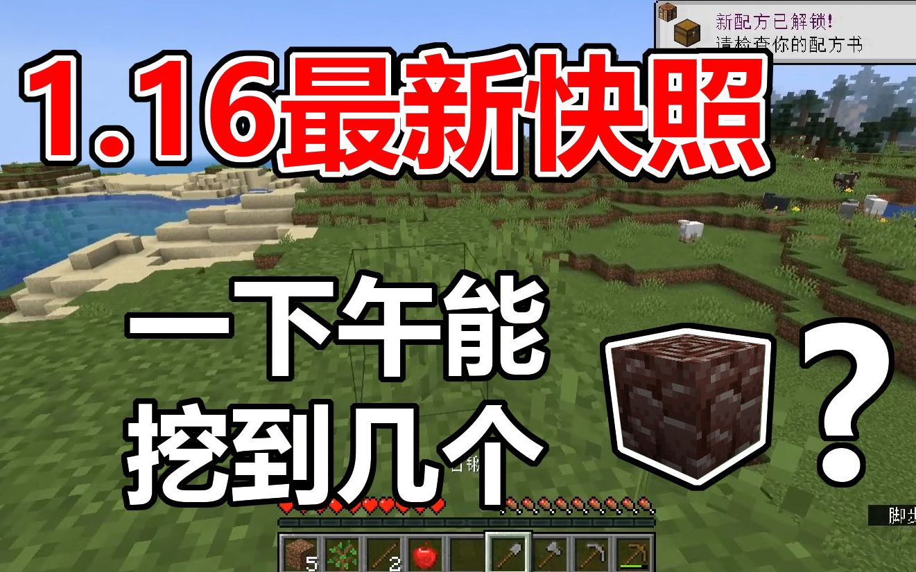 我的世界 1 16最新快照挑战一下午挖矿能挖到几个远古碎片 哔哩哔哩 Bilibili