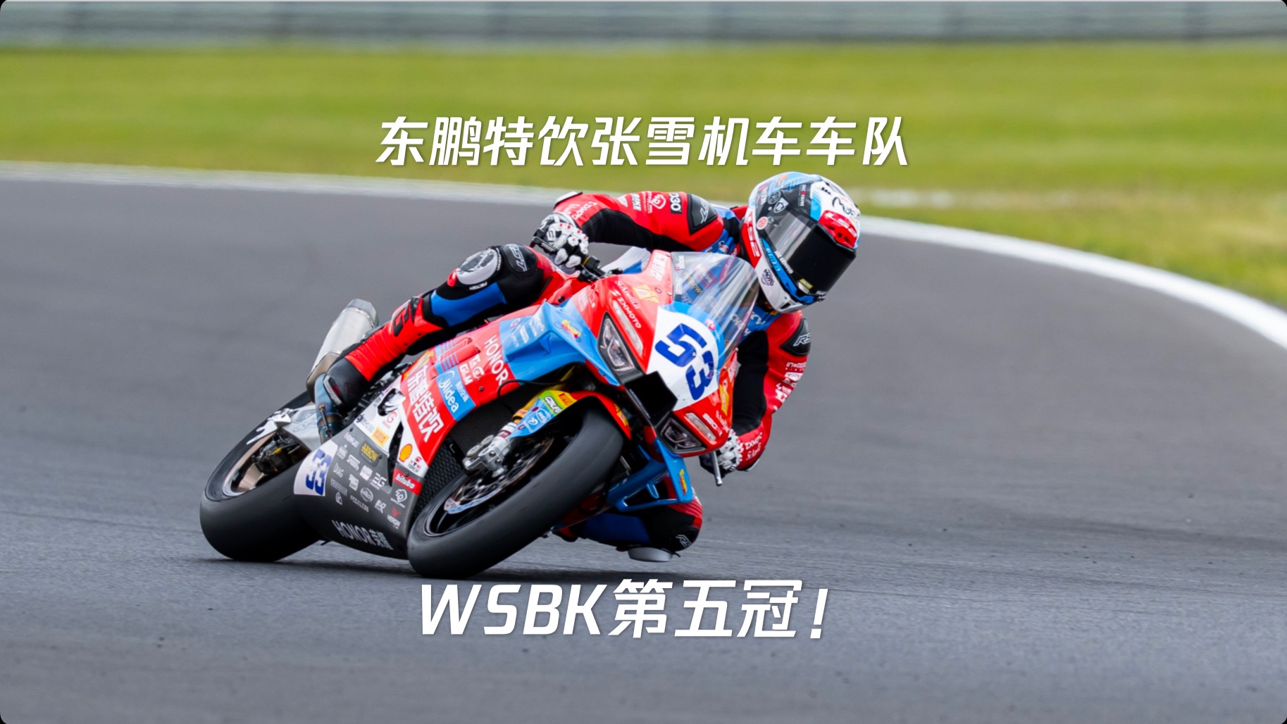 五冠加冕！中国能量驰骋世界！