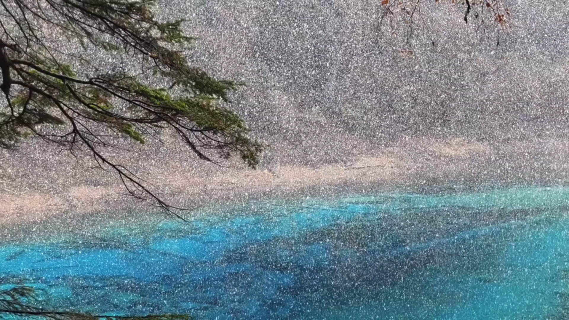 “原来冬天真的是最浪漫的季节～”