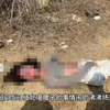 缅北的真实遭遇