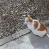 母子出游