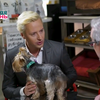 【Vitas】2019.03.02俄罗斯1TV电视台《宠物的秘密生活》节目