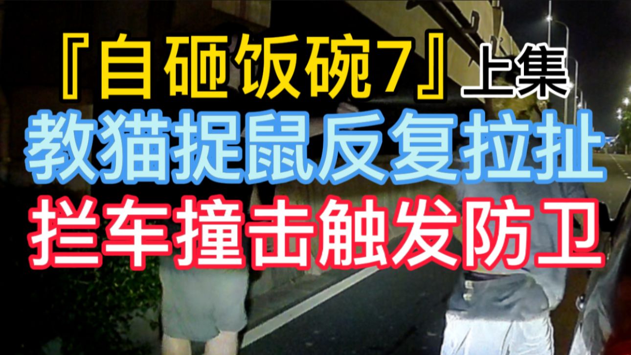 『自砸饭碗7』上集 教猫捉鼠反复拉扯 拦车撞击触发防卫