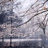 可商用视频素材之下雪飘落树木雪景雪地上的灯泡唯美伤感雪花背景