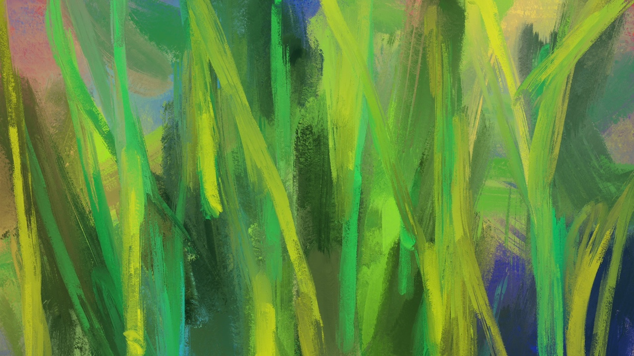 青少年快速长高到178