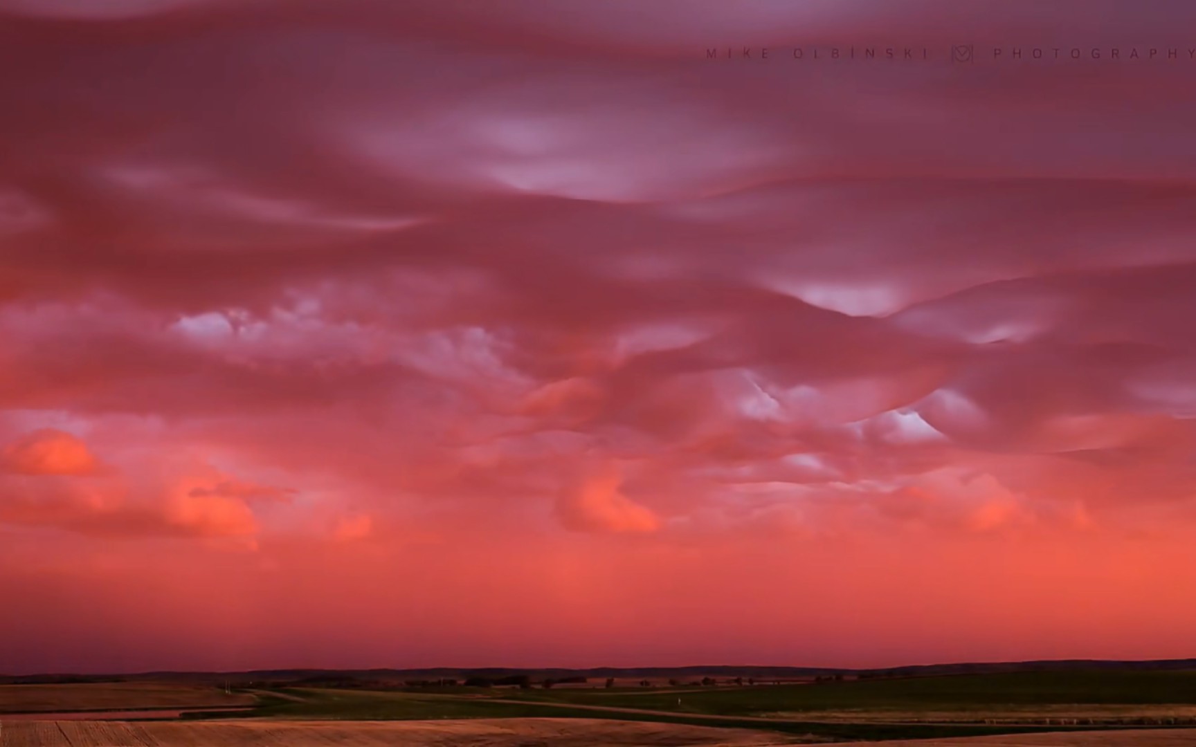 savage Daughter savage-daughter