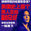 接棒拜登的哈里斯是谁？美国史上首个黑人亚裔副总统，即将与特朗普一较高下 |#World红星 ·人物