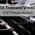 钢琴+提琴《A Thousand Winds》-生命终章最美的离别曲