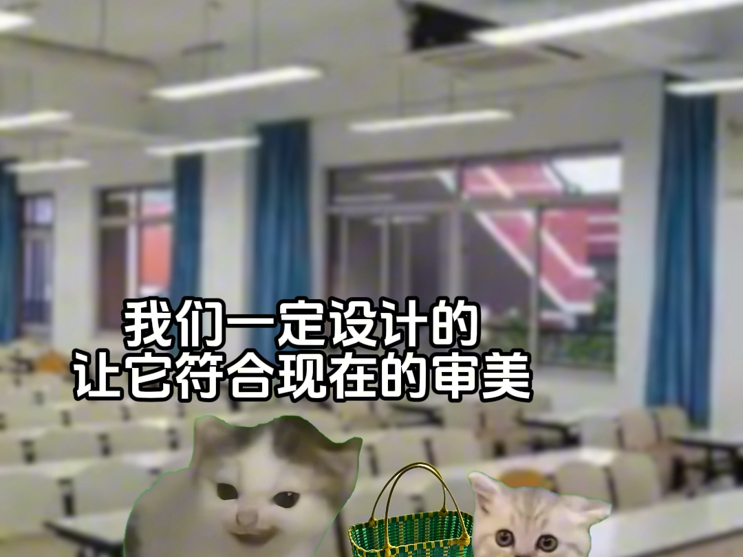 大学生让老人手艺重新被看见#猫meme小剧场#西湖兜篮#真实还原#传统手艺#大学生