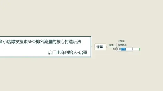 10分钟学会抖音小店运营,SEO排名流量爆发核心打造玩法,抖店平均日出1000+单