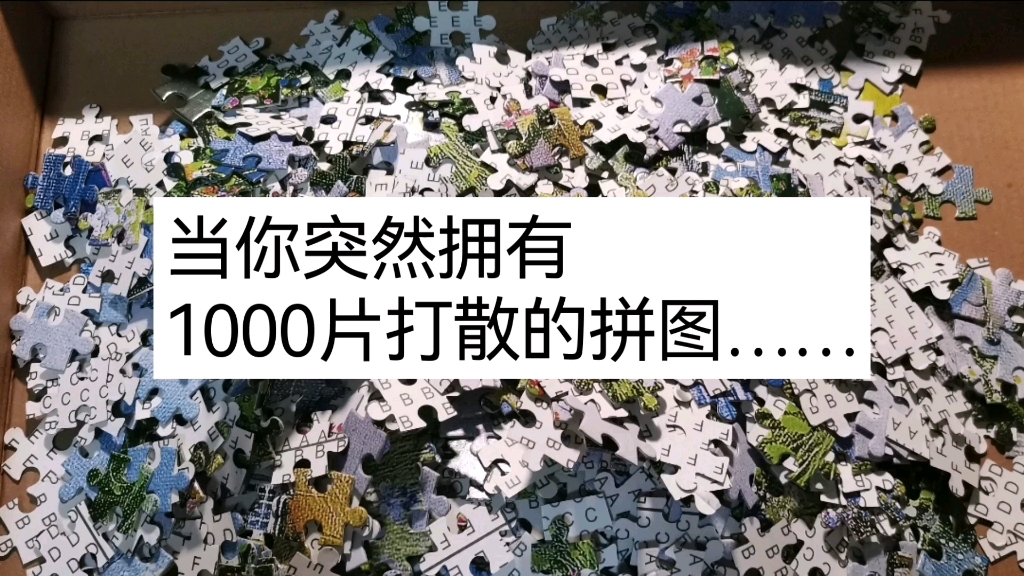 记录：第一次玩1000片的拼图（第①步→分区）