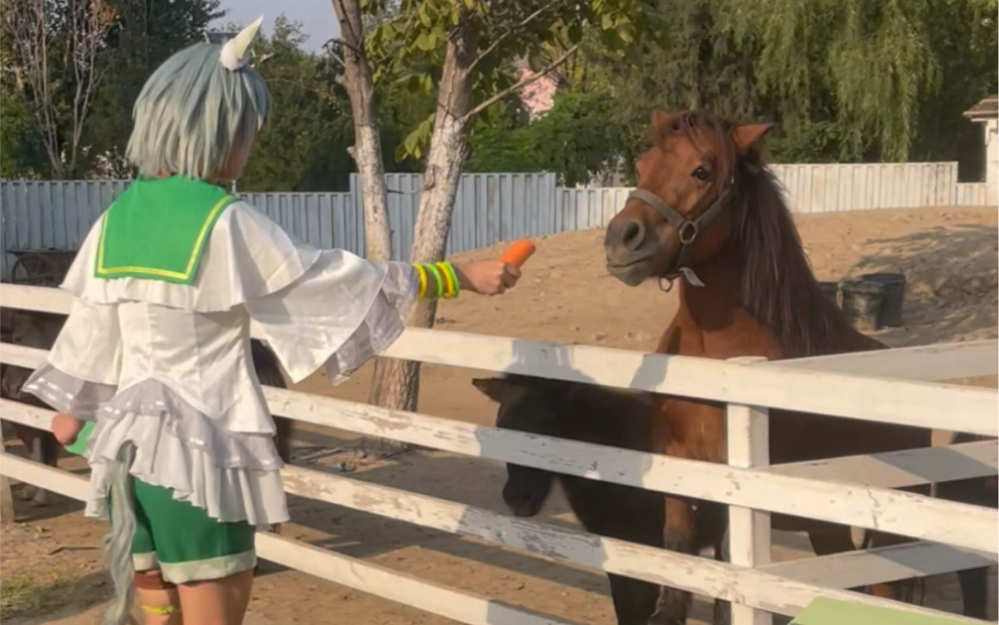 One Horse One Bite/Pony Buffet