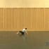 中国舞蹈家协会 十级考级舞蹈 孔雀