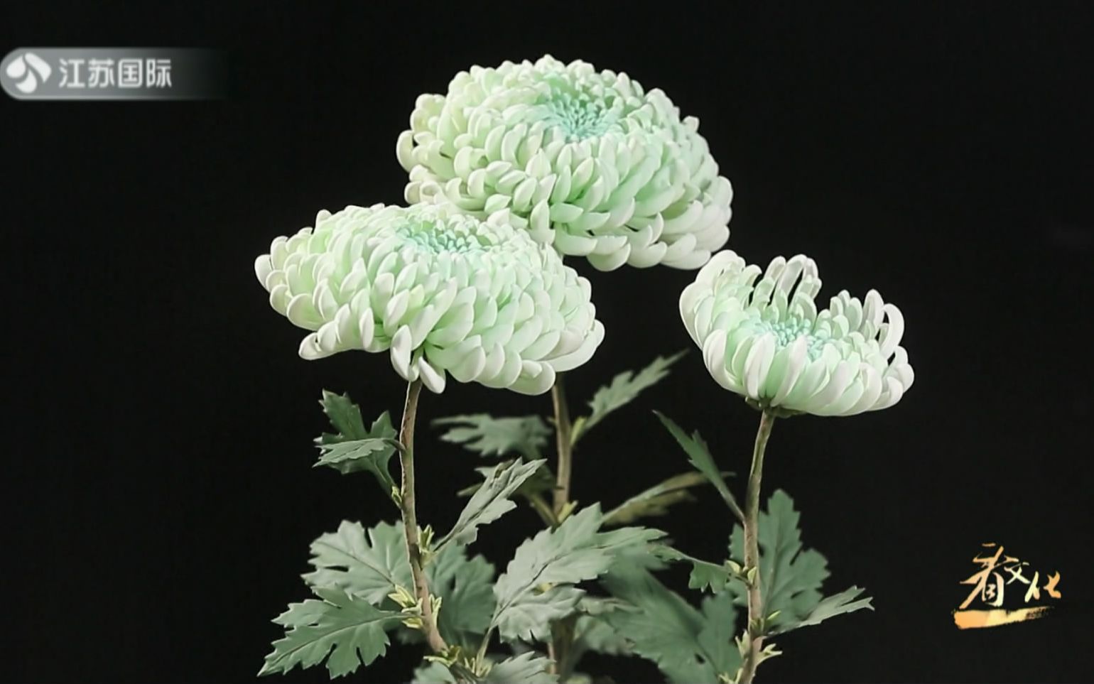 纪录手工艺花开留驻扬州通草花2018