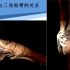 足踝关节解剖及磁共振表现第四节——弹簧韧带复合体