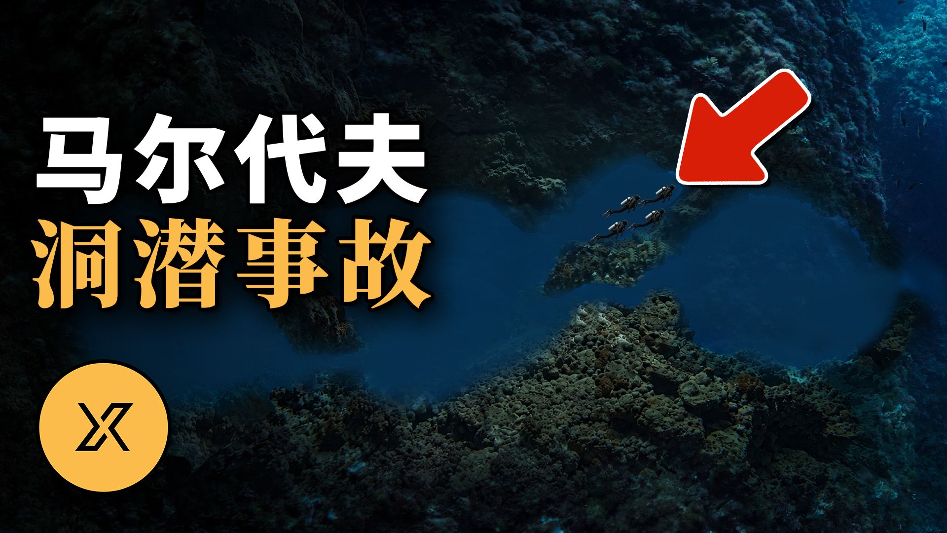 马尔代夫深海秘窟，5名资深潜水员为何一去不复返 ｜ 2026鲨鱼洞事件