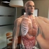 有这黑科技，能在现实中模拟人体结构，演示医学解剖过程