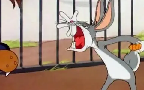 《烧包谷》烧包谷驯狮记 ~