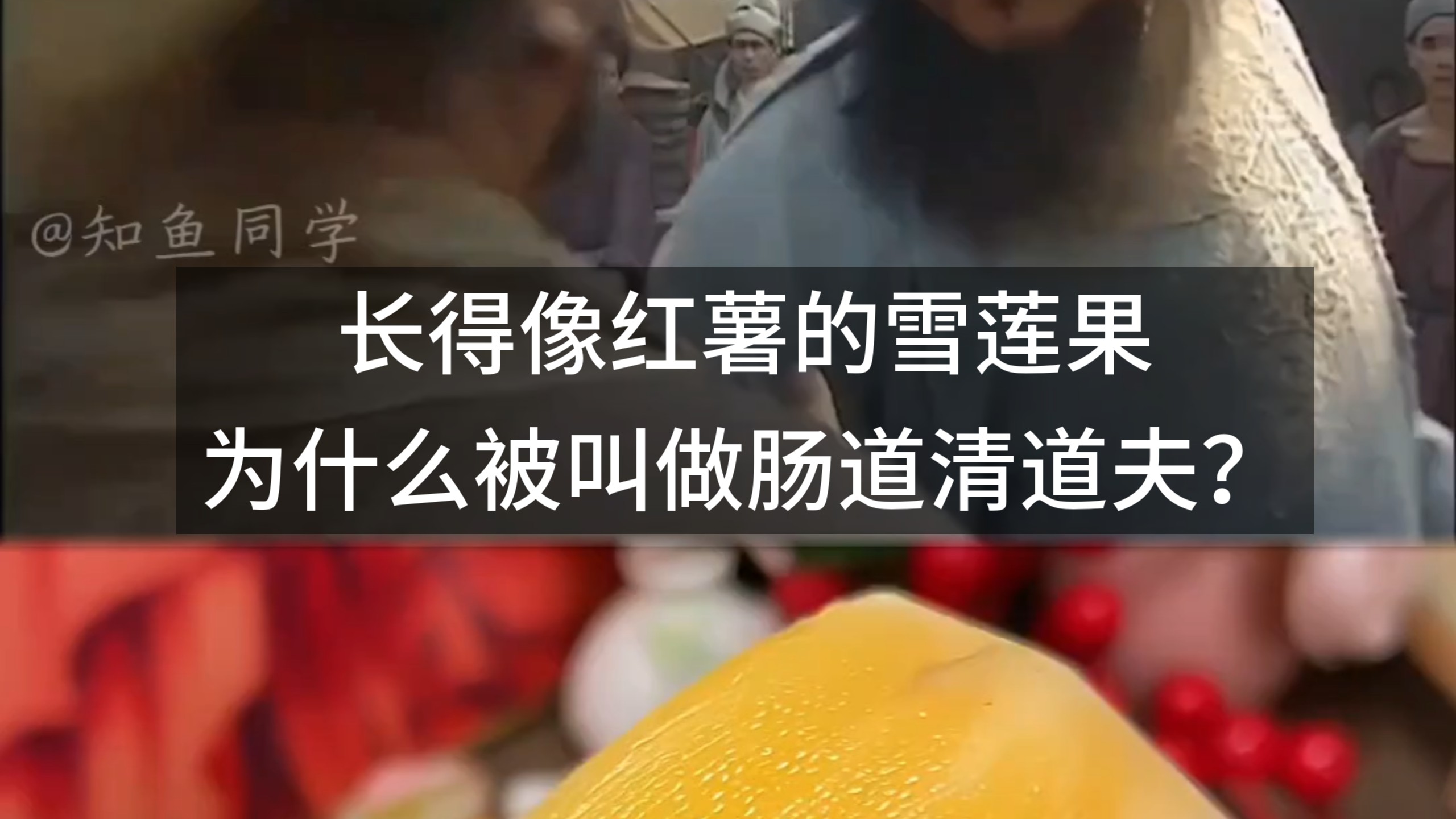 长得像红薯的雪莲果，为什么被叫做肠道清道夫？