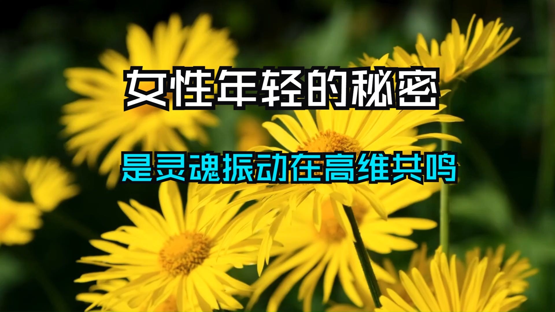 你的美貌容颜并非靠保养维系！杨定一博士揭示年轻女性的秘密！永葆青春源于灵魂赐予的能量！你的不老，是灵魂振动在高维共鸣。
