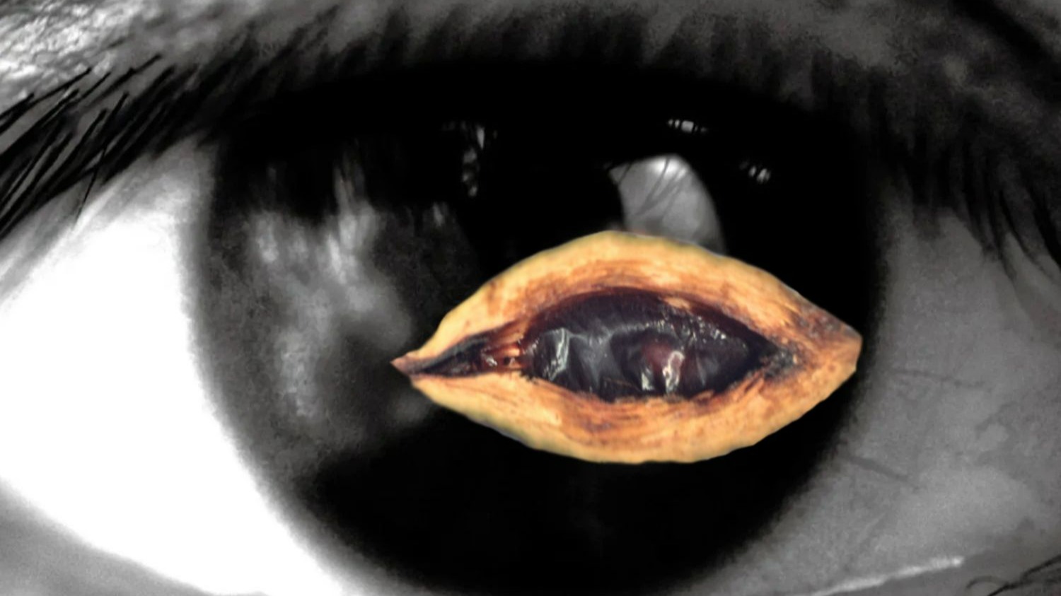 ♿️电棍：黑色狼冰♿️