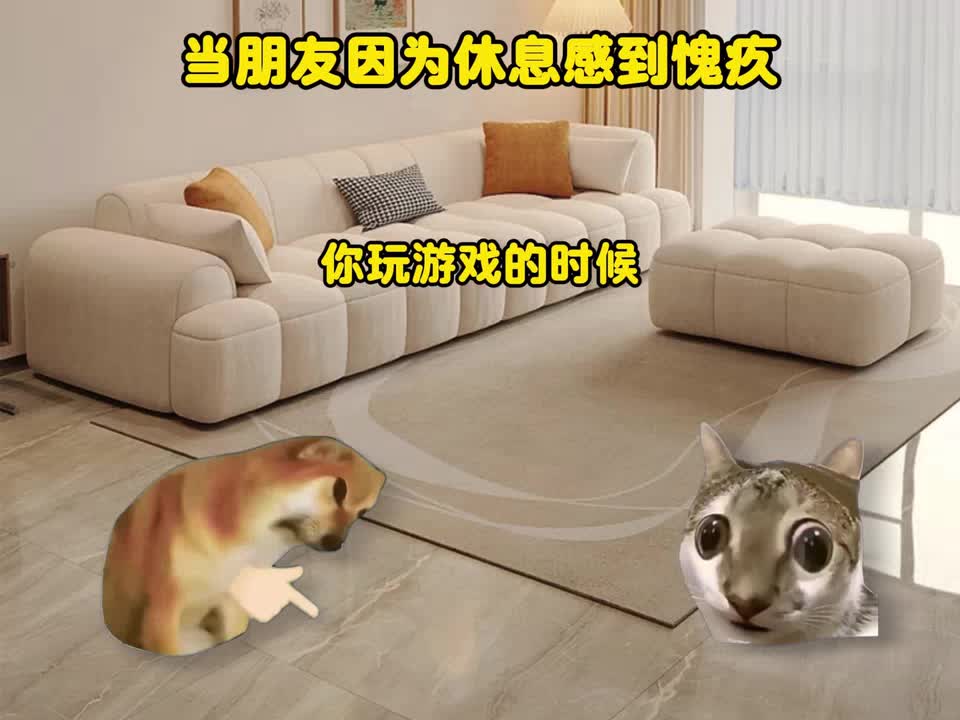 猫meme我的刀盾