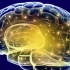 【搬运自用】激活大脑潜能至100%：天才大脑频率，伽玛双耳节拍
