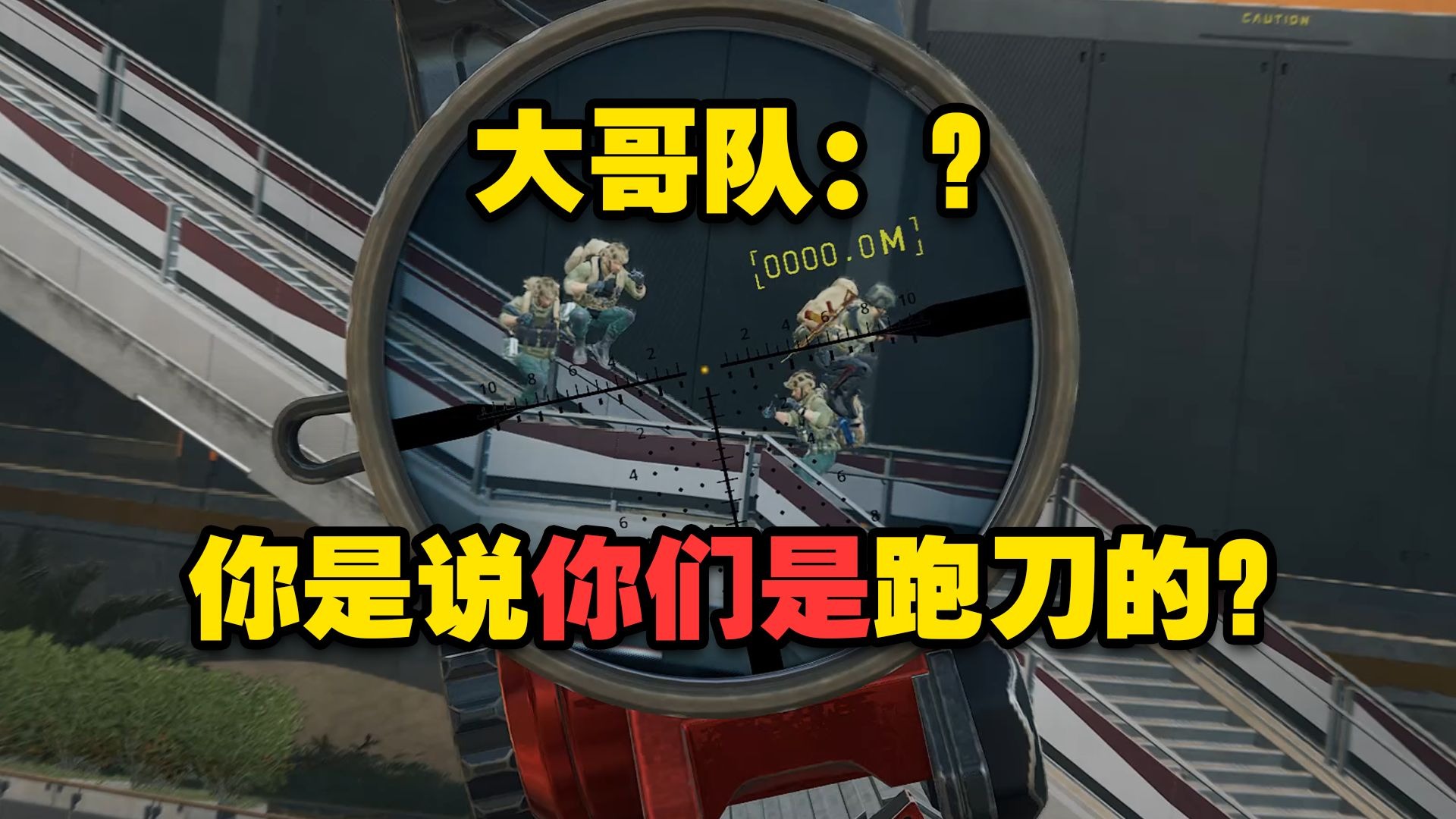 【老柠萌】当大哥队打架鼠鼠过去送个天圆地方？