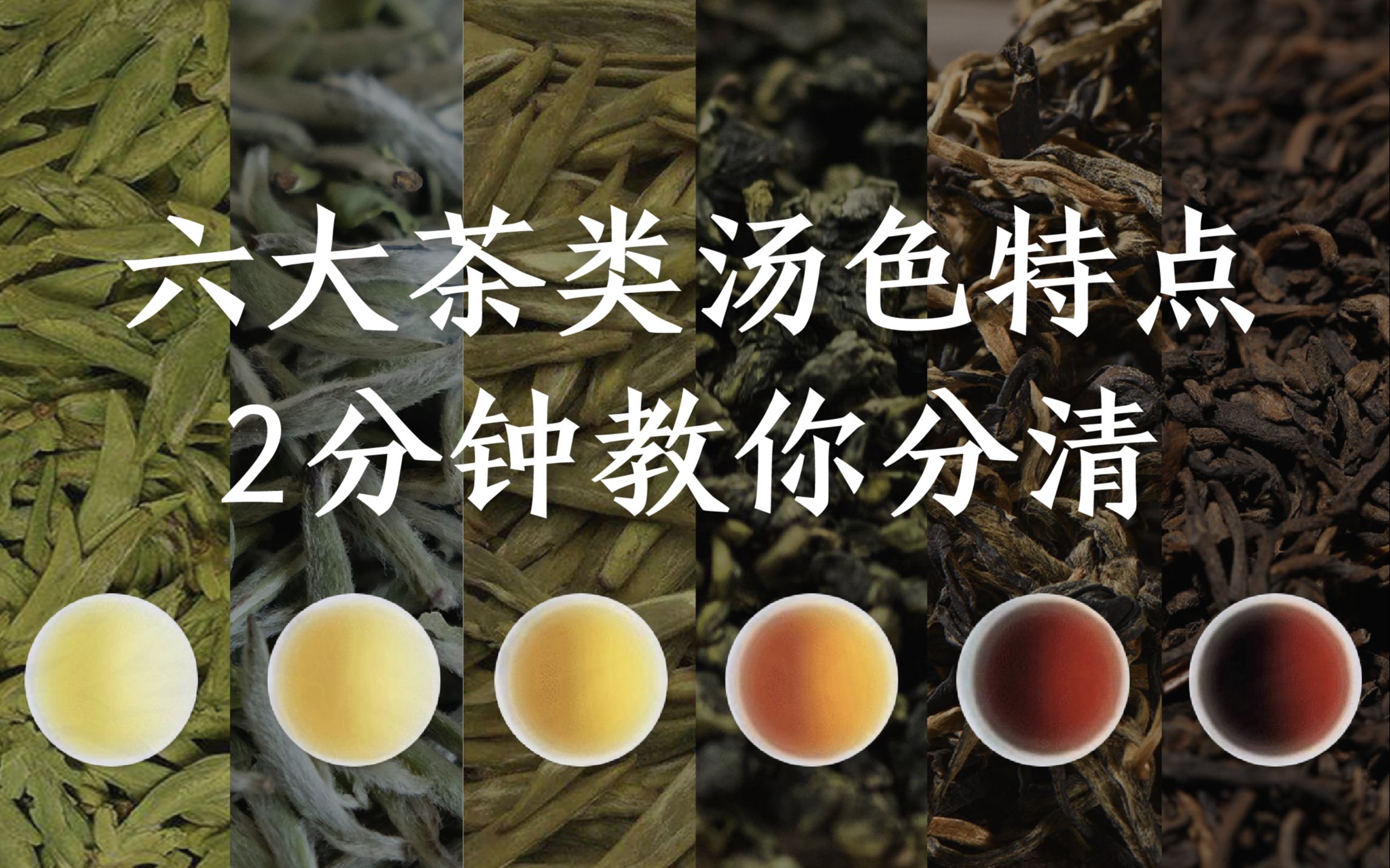 产自青藏高原东南麓的高原珍稀茶种——俄色茶 - 知乎