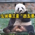 【大熊猫萌兰】么么儿是一个怎样的存在？是战五渣，也是越狱王