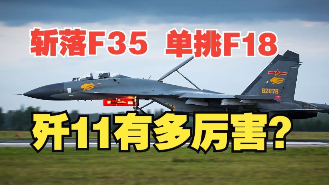 同一架歼11，先斩F35，后挑F18大黄蜂，又来了一次间接击落！
