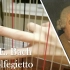 【竖琴】CPE Bach - Solfeggietto