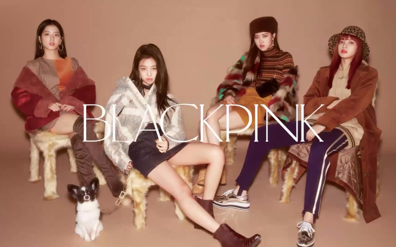 blackpink女团壁纸,韩国女团blackpink壁纸 【blackpink】17/10/24 杂志女团blackpink最新花絮[shel"tter×nylon