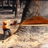 YouTube-【伐木】-01-油管播放量5000万伐木视频 重型砍伐树机工作集锦