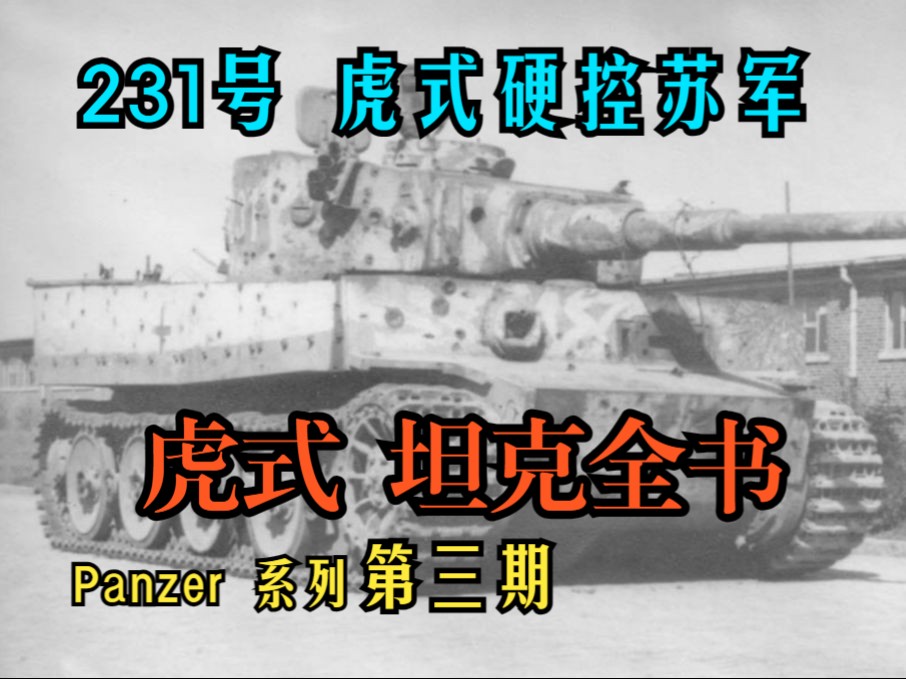 【Panzer系列】虎式坦克全书——第三期，罗斯托夫——哈尔科夫之路，503重坦营以及SS