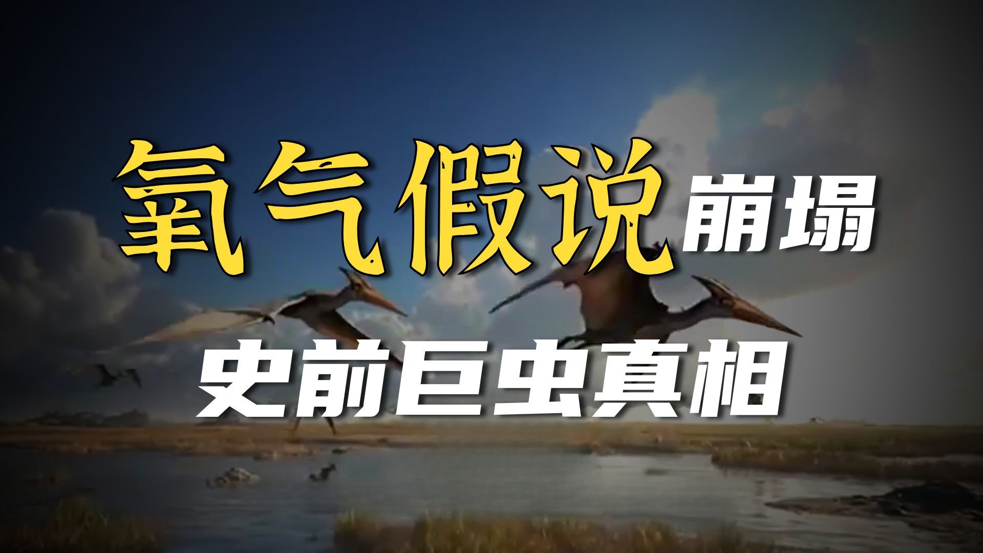 更新：氧气高含量没有塑造石炭纪的巨型昆虫体型