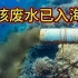 日本核污染水已进入大海，何时到达中国沿海？海鲜还能吃吗