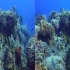 海底世界,水下3D频道电影