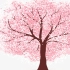 python80行代码画出浪漫樱花树，表白暗恋10年的女神