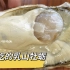 世界十大生蚝之乳山生蚝，高油脂的精品耗，中国唯一可以生吃的耗