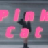 【苏晨kir_】Pink Cat