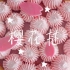 今年的樱花季，你们一定要尝尝这个樱花挞哦(#^.^#)