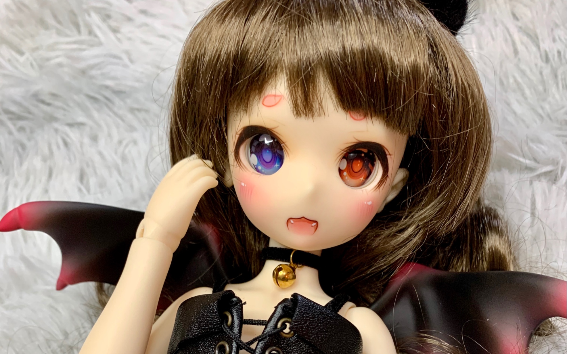 bjd—dollzone黑猫开箱