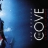 【Netflix】海豚湾/血色海湾/海湾屠场 官方双语字幕 [2010年奥斯卡最佳纪录片] The Cove (2009