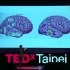 （台湾中央大学，洪兰教授 ）不能错过的好演讲，用心理学和认知神经科学来解释男女的不同