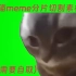 猫meme切片分割版本（75+，需要自取）
