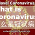 【油管搬运】双语动画解释什么是冠状病毒？