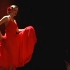 【西班牙】弗拉门戈之舞  Flamenco Dance